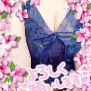 ヒメ日記 2025/04/10 10:41 投稿 ゆかり MOTHER(旧ママとおねえさん)