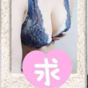 ヒメ日記 2025/04/29 10:51 投稿 ゆかり MOTHER(旧ママとおねえさん)