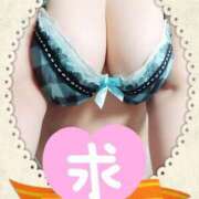 ヒメ日記 2025/05/12 10:51 投稿 ゆかり MOTHER(旧ママとおねえさん)