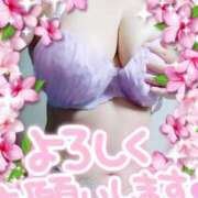 ヒメ日記 2025/06/15 10:01 投稿 ゆかり MOTHER(旧ママとおねえさん)