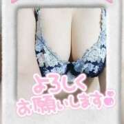 ヒメ日記 2025/07/23 10:51 投稿 ゆかり MOTHER(旧ママとおねえさん)