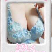 ヒメ日記 2025/08/02 10:51 投稿 ゆかり MOTHER(旧ママとおねえさん)