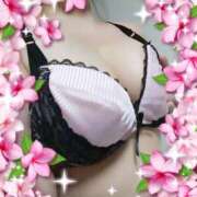 ヒメ日記 2025/09/25 12:01 投稿 ゆかり MOTHER(旧ママとおねえさん)