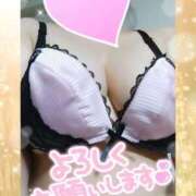 ヒメ日記 2025/09/29 10:51 投稿 ゆかり MOTHER(旧ママとおねえさん)