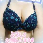 ヒメ日記 2025/11/27 11:01 投稿 ゆかり MOTHER(旧ママとおねえさん)