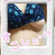 ヒメ日記 2025/12/09 18:51 投稿 ゆかり MOTHER(旧ママとおねえさん)