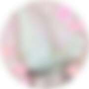 ヒメ日記 2026/01/06 10:37 投稿 ゆかり MOTHER(旧ママとおねえさん)