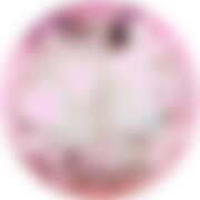 ヒメ日記 2026/01/23 10:46 投稿 ゆかり MOTHER(旧ママとおねえさん)