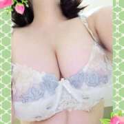 ヒメ日記 2026/02/12 10:51 投稿 ゆかり MOTHER(旧ママとおねえさん)