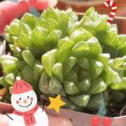 ヒメ日記 2024/12/15 18:26 投稿 かよ 吉原ファーストレディ