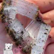 ヒメ日記 2024/12/17 19:28 投稿 かよ 吉原ファーストレディ