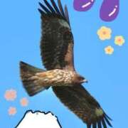 ヒメ日記 2025/01/02 10:48 投稿 かよ 吉原ファーストレディ