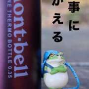 ヒメ日記 2025/01/22 07:17 投稿 かよ 吉原ファーストレディ