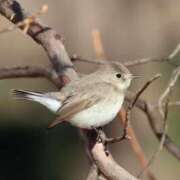 ヒメ日記 2025/02/04 16:06 投稿 かよ 吉原ファーストレディ