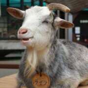 ヒメ日記 2025/02/11 08:09 投稿 かよ 吉原ファーストレディ