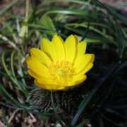 ヒメ日記 2025/02/18 23:16 投稿 かよ 吉原ファーストレディ