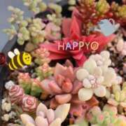 ヒメ日記 2025/02/25 09:26 投稿 かよ 吉原ファーストレディ