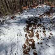 ヒメ日記 2025/03/07 16:29 投稿 かよ 吉原ファーストレディ