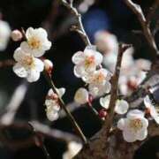 ヒメ日記 2025/03/08 10:09 投稿 かよ 吉原ファーストレディ