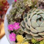 ヒメ日記 2025/03/17 20:56 投稿 かよ 吉原ファーストレディ