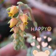 ヒメ日記 2025/03/29 18:56 投稿 かよ 吉原ファーストレディ