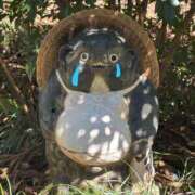 ヒメ日記 2025/03/30 15:56 投稿 かよ 吉原ファーストレディ