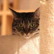 ヒメ日記 2025/04/03 16:46 投稿 かよ 吉原ファーストレディ