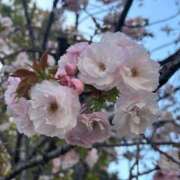 ヒメ日記 2025/04/09 23:10 投稿 かよ 吉原ファーストレディ