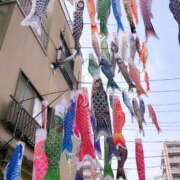 ヒメ日記 2025/04/19 16:46 投稿 かよ 吉原ファーストレディ