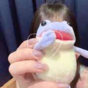 ヒメ日記 2025/04/26 12:46 投稿 かよ 吉原ファーストレディ