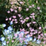 ヒメ日記 2025/04/29 23:06 投稿 かよ 吉原ファーストレディ