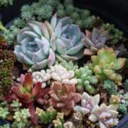 ヒメ日記 2025/05/06 09:06 投稿 かよ 吉原ファーストレディ