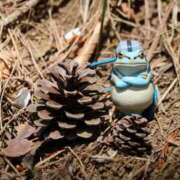 ヒメ日記 2025/05/08 16:17 投稿 かよ 吉原ファーストレディ