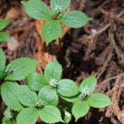 ヒメ日記 2025/05/09 16:08 投稿 かよ 吉原ファーストレディ