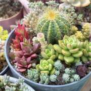 ヒメ日記 2025/05/11 12:07 投稿 かよ 吉原ファーストレディ