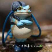 ヒメ日記 2025/05/13 07:33 投稿 かよ 吉原ファーストレディ