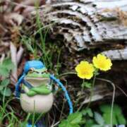 ヒメ日記 2025/05/13 20:26 投稿 かよ 吉原ファーストレディ