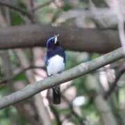 ヒメ日記 2025/05/13 20:56 投稿 かよ 吉原ファーストレディ