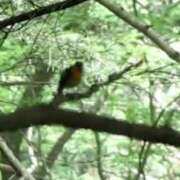 ヒメ日記 2025/05/14 10:47 投稿 かよ 吉原ファーストレディ