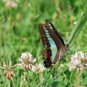 ヒメ日記 2025/05/18 22:03 投稿 かよ 吉原ファーストレディ