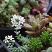 ヒメ日記 2025/05/21 09:32 投稿 かよ 吉原ファーストレディ