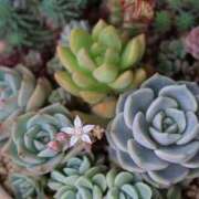 ヒメ日記 2025/05/23 09:27 投稿 かよ 吉原ファーストレディ