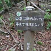 ヒメ日記 2025/05/27 17:47 投稿 かよ 吉原ファーストレディ