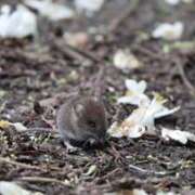 ヒメ日記 2025/05/28 08:00 投稿 かよ 吉原ファーストレディ