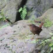 ヒメ日記 2025/05/28 21:16 投稿 かよ 吉原ファーストレディ