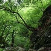 ヒメ日記 2025/05/31 13:07 投稿 かよ 吉原ファーストレディ