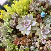 ヒメ日記 2025/06/03 20:38 投稿 かよ 吉原ファーストレディ