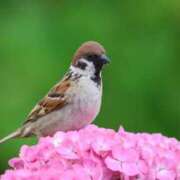 ヒメ日記 2025/06/04 17:46 投稿 かよ 吉原ファーストレディ