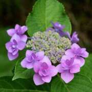 ヒメ日記 2025/06/14 21:56 投稿 かよ 吉原ファーストレディ