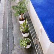 ヒメ日記 2025/06/17 17:16 投稿 かよ 吉原ファーストレディ